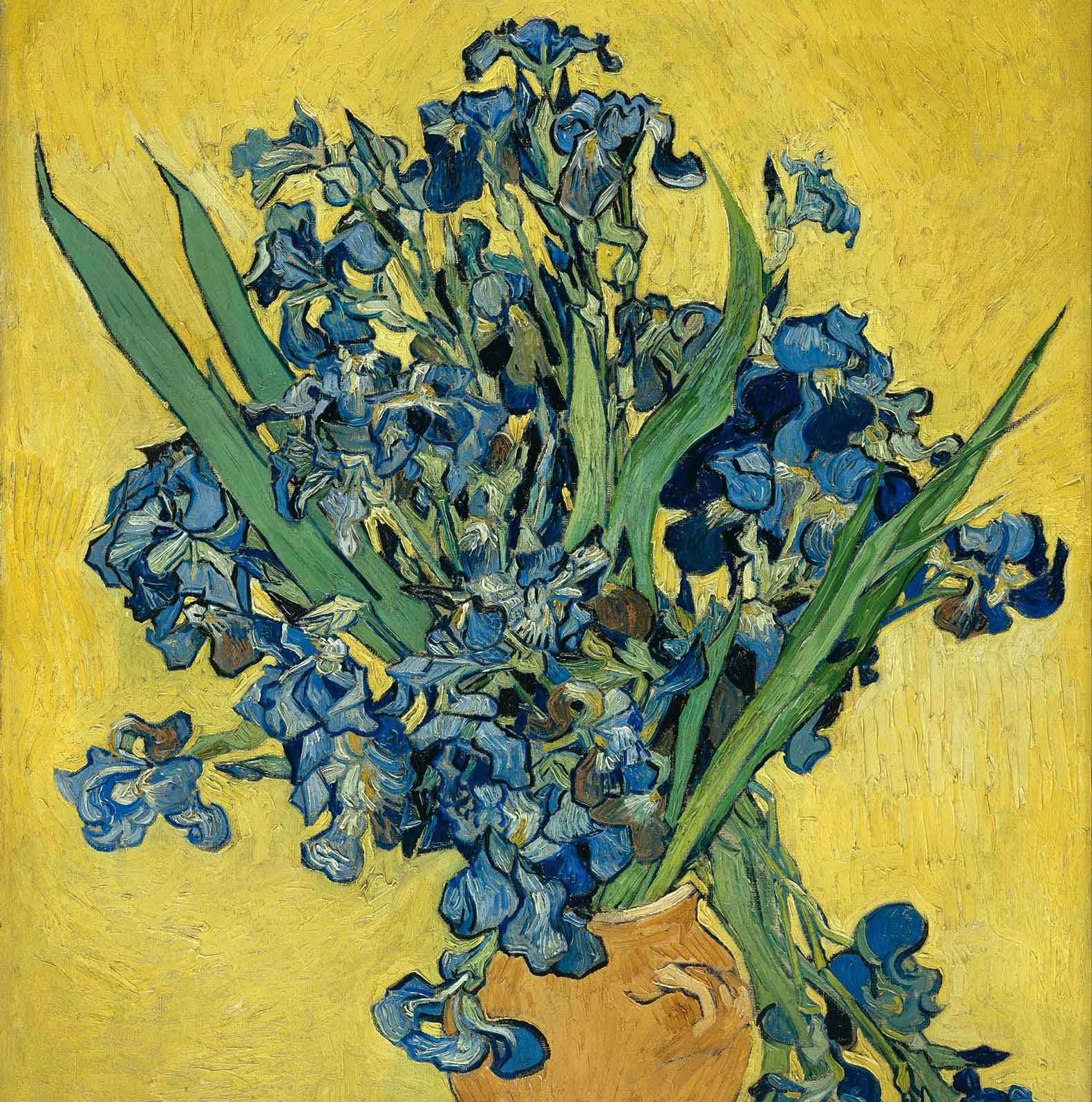 梵高 生養紫色鳶尾花的花瓶